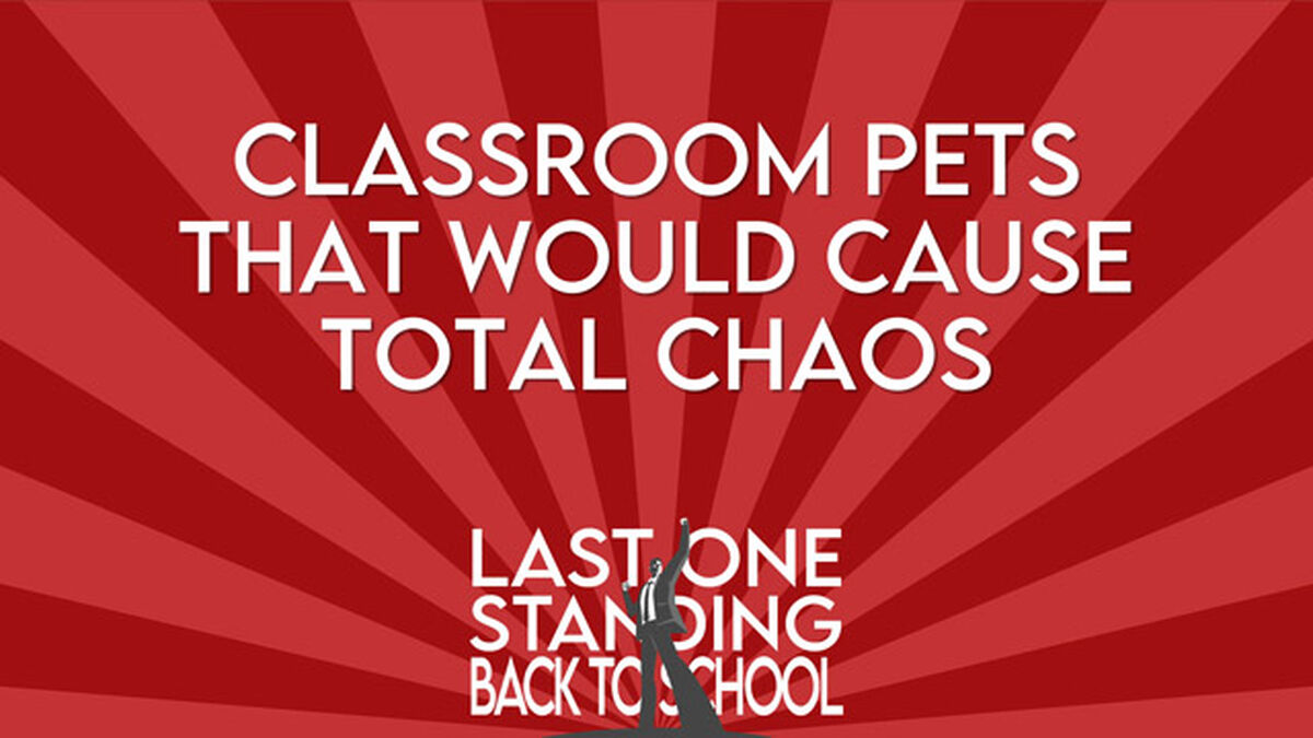 Last One Standing Back to School image number null